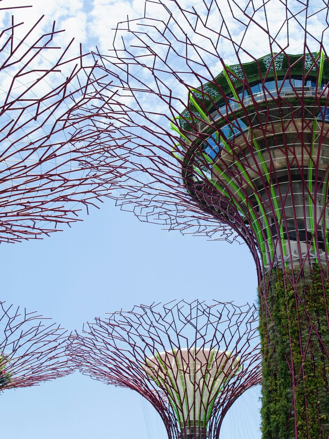 Commercial Solar Singapore installation Gardens by the Bay Supertrees