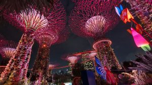 Commercial Solar Singapore installation Gardens by the Bay Supertrees